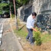 Hijaukan Lingkungan, Pemcam Ciawi Tanam Pohon di Sepanjang Jalan Jenderal Hoegeng