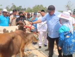 Bupati Bogor Resmikan Pasar Hewan Jonggol, Perkuat Ekonomi Peternakan dan Dukung Pengembangan Bogor Timur