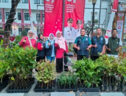 300 Bibit Pohon Dibagikan, FKPCH Berkolaborasi dengan BPDAS Citarum-Ciliwung